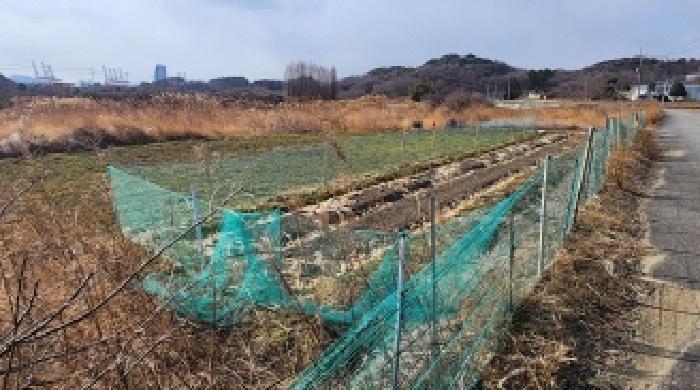 전라남도 광양시 진상면 섬거리 458-4 답 경매 사진 1