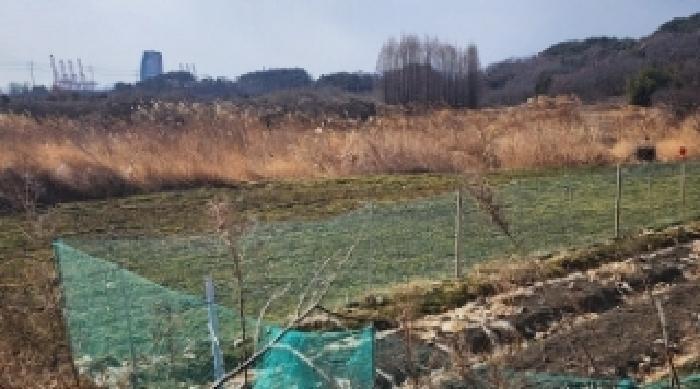 전라남도 광양시 진상면 섬거리 458-4 답 경매 사진 2