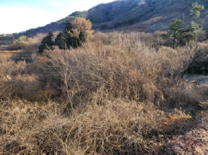 전라남도 광양시 진상면 섬거리 458-4 답 경매 사진 7