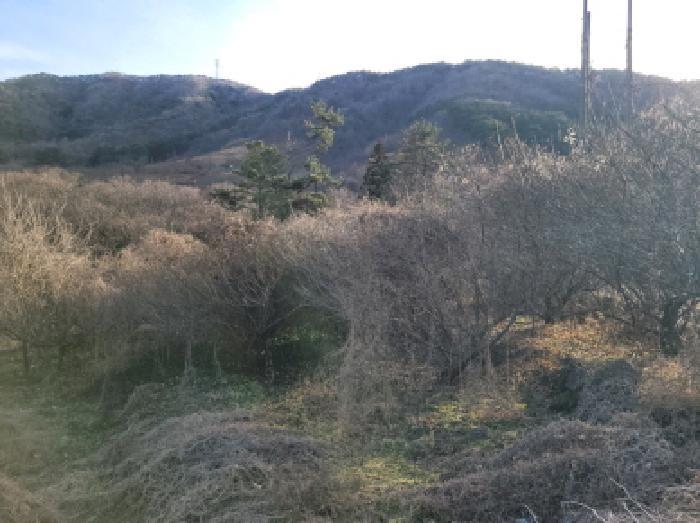 전라남도 광양시 진상면 섬거리 458-4 답 경매 사진 9