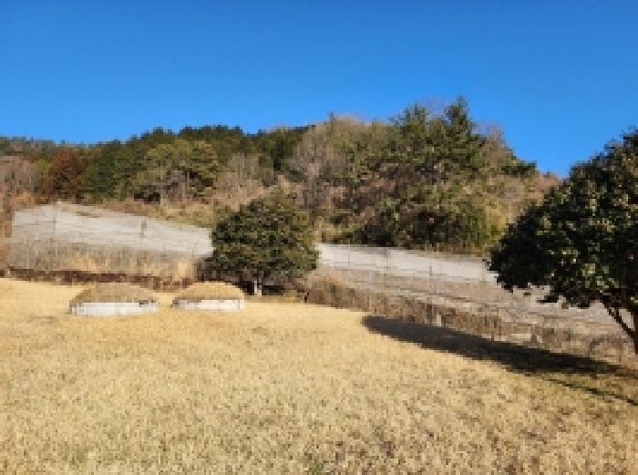 전라남도 보성군 벌교읍 칠동리 106-2 창고 경매 사진 17