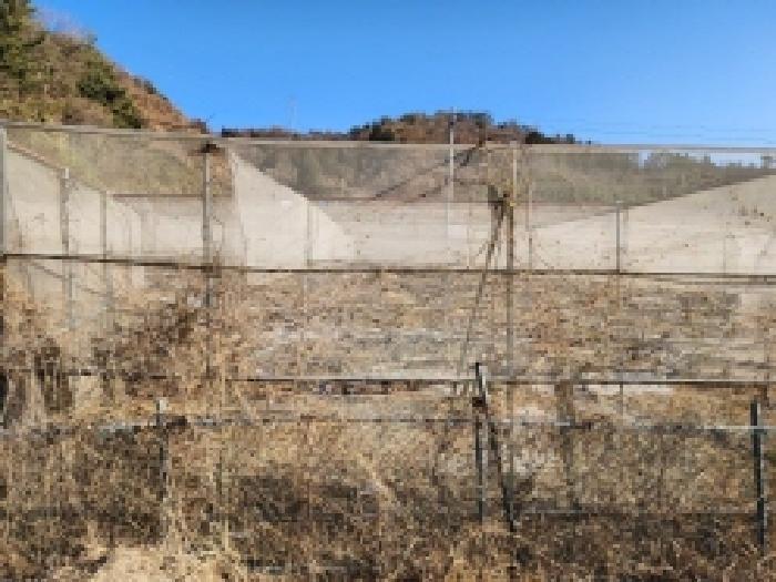 전라남도 보성군 벌교읍 칠동리 215 전 경매 사진 10
