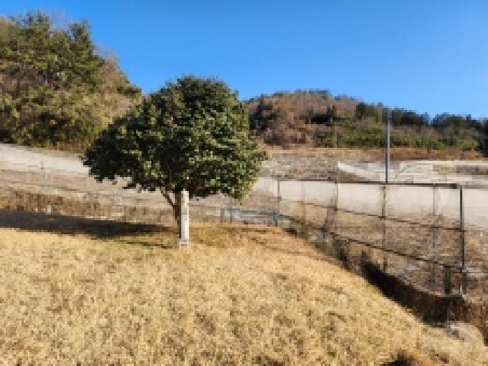 전라남도 보성군 벌교읍 칠동리 215 전 경매 사진 16