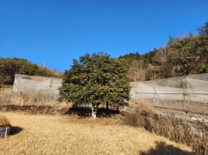 전라남도 보성군 벌교읍 칠동리 215 전 경매 사진 18