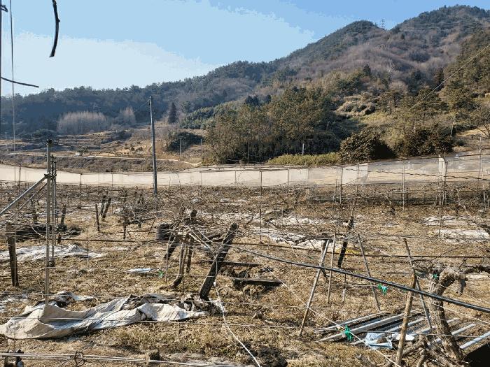 전라남도 보성군 벌교읍 칠동리 215 전 경매 사진 3