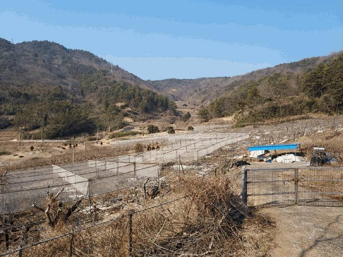 전라남도 보성군 벌교읍 칠동리 215 전 경매 사진 4