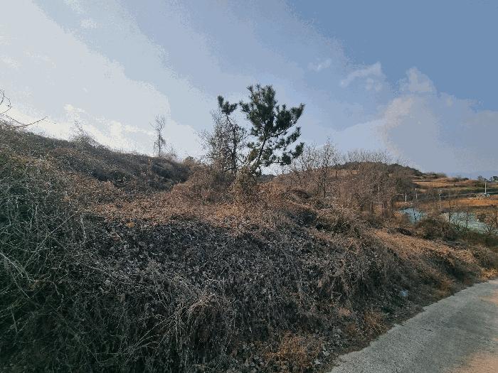 전라남도 여수시 돌산읍 우두리 290-13 전 경매 사진 3