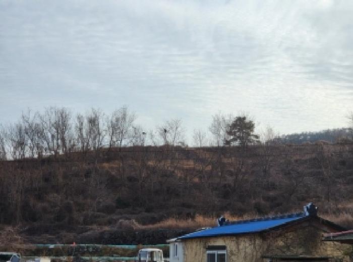 전라남도 여수시 돌산읍 우두리 290-13 전 경매 사진 7