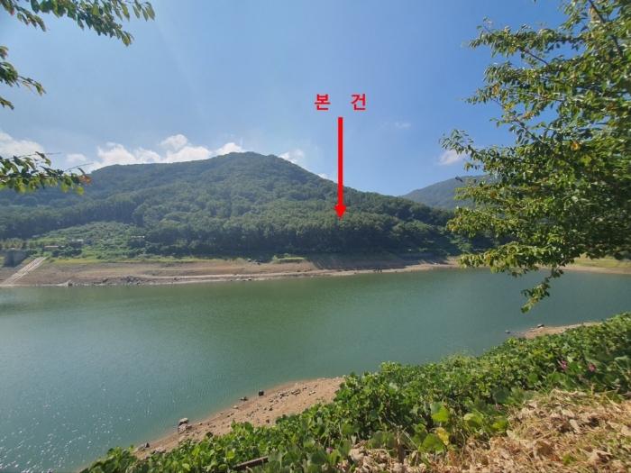 경상남도 김해시 진례면 신안리 산166-5 임야 경매 사진 2