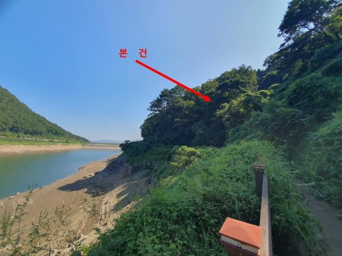 경상남도 김해시 진례면 신안리 산166-5 임야 경매 사진 3
