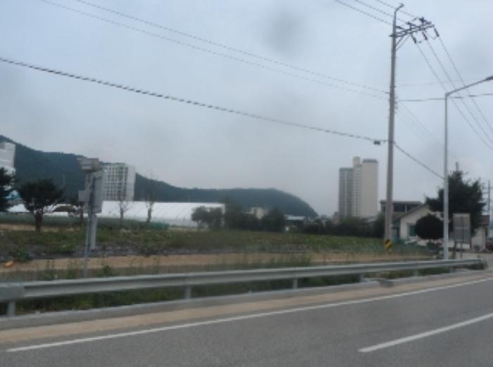 강원특별자치도 평창군 진부면 하진부리 329 답 경매 사진 3