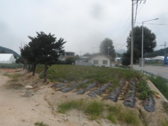강원특별자치도 평창군 진부면 하진부리 329 답 경매 사진 4