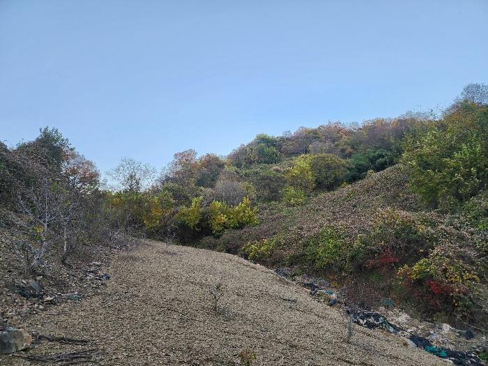 충청북도 옥천군 전