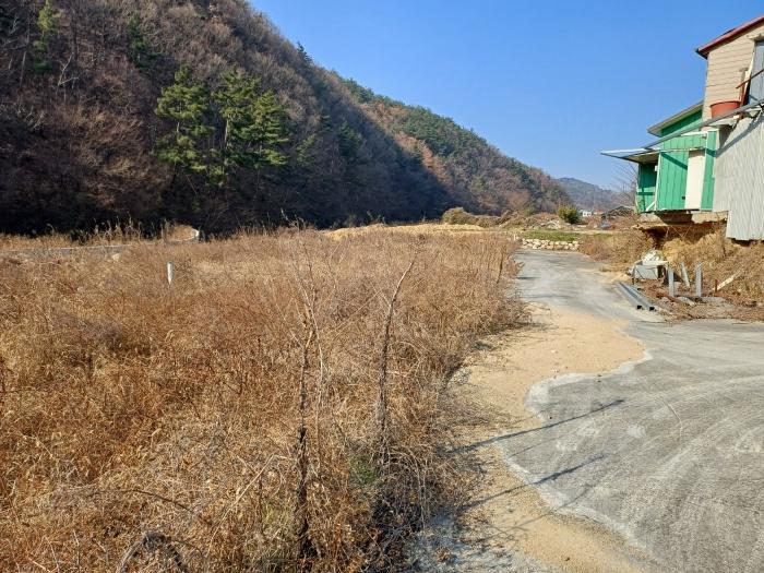 경상북도 경주시 광명동 803 답 경매 사진 1
