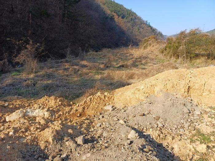 경상북도 경주시 광명동 803 답 경매 사진 3