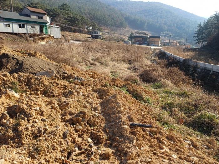 경상북도 경주시 광명동 803 답 경매 사진 5