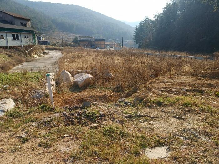 경상북도 경주시 광명동 803 답 경매 사진 9