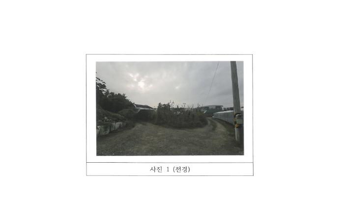 경상북도 김천시 다수동 390-1 답 경매 사진 11