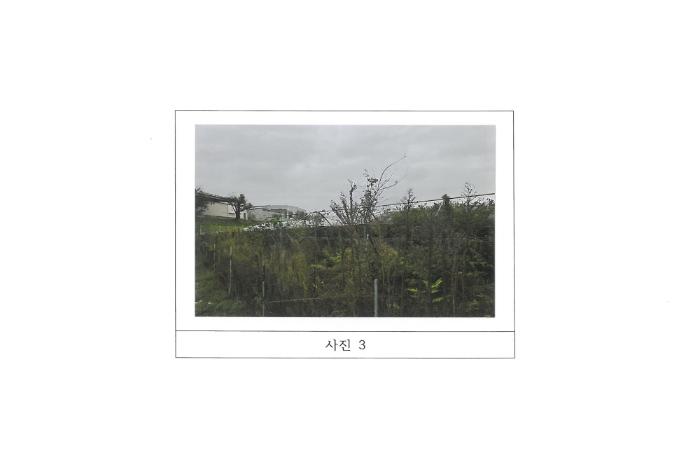 경상북도 김천시 다수동 390-1 답 경매 사진 13