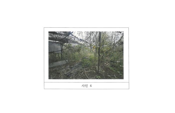 경상북도 김천시 다수동 390-1 답 경매 사진 14