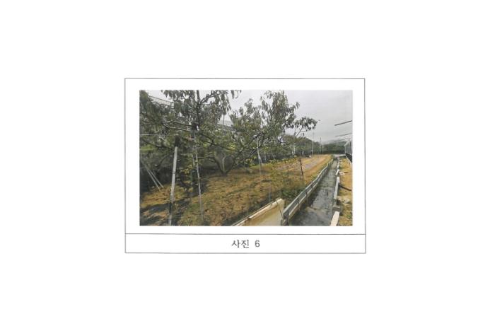 경상북도 김천시 다수동 390-1 답 경매 사진 17