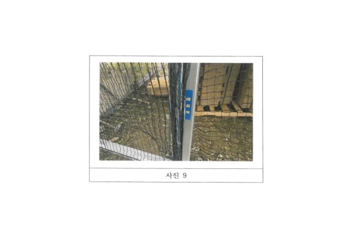 경상북도 김천시 다수동 390-1 답 경매 사진 19