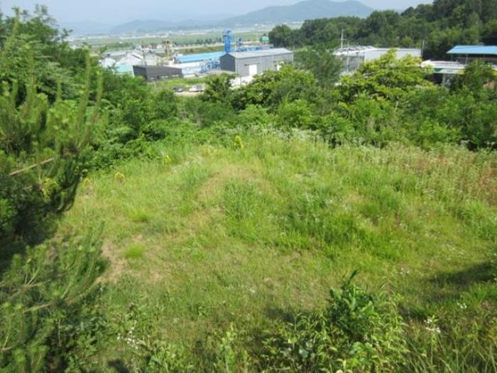 경상북도 상주시 사벌국면 엄암리 621-3 답 경매 사진 7