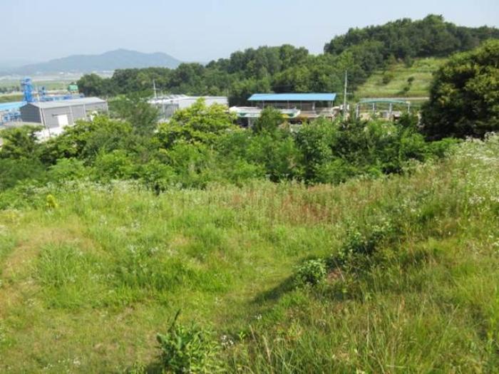 경상북도 상주시 사벌국면 엄암리 621-3 답 경매 사진 8
