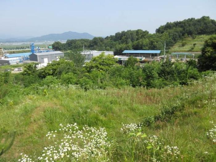 경상북도 상주시 사벌국면 엄암리 621-3 답 경매 사진 10