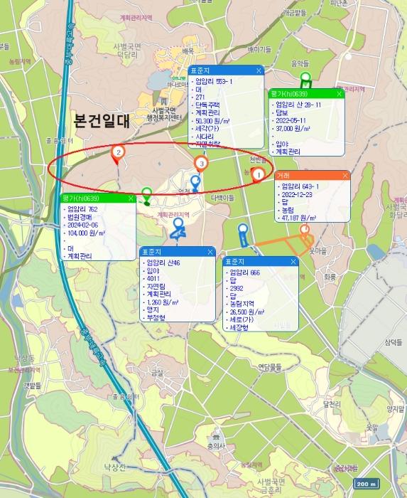 경상북도 상주시 사벌국면 엄암리 621-3 답 경매 사진 13
