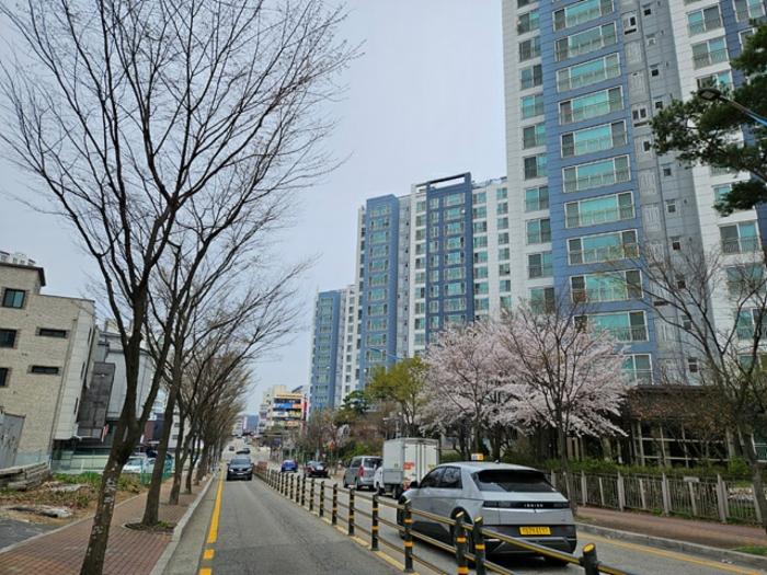 경기도 화성시 남양읍 역골동로 94, 105동 15층1502호 (남양우림필유아파트)구) 경기도 화성시 남양읍 남양리 2047 아파트 경매 사진 6