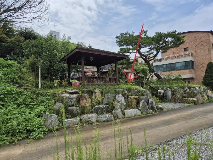 경기도 양평군 양서면 대심길35번길 56-7구) 경기도 양평군 양서면 대심리 123-18 주택 경매 사진 4