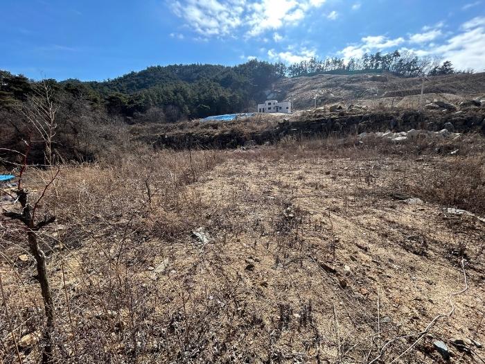 충청북도 청주시 상당구 전
