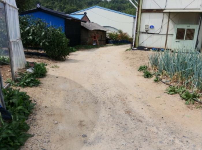 충청남도 금산군 남일면 음대리 193-5 대지 경매 사진 16