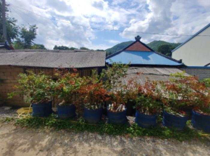 충청남도 금산군 남일면 음대리 193-5 대지 경매 사진 17