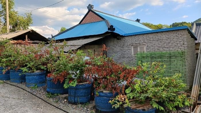 충청남도 금산군 남일면 음대리 193-5 대지 경매 사진 2