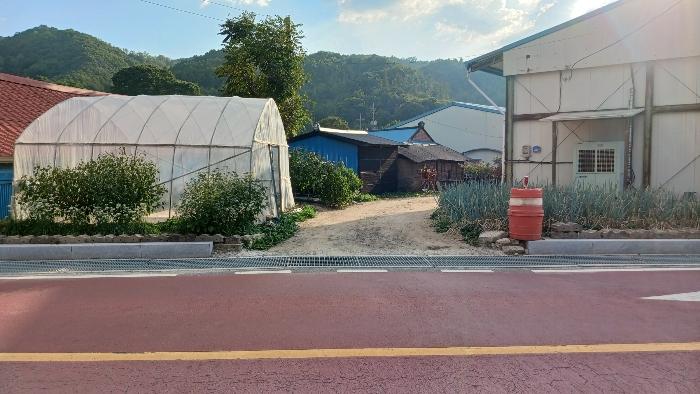 충청남도 금산군 남일면 음대리 193-5 대지 경매 사진 9