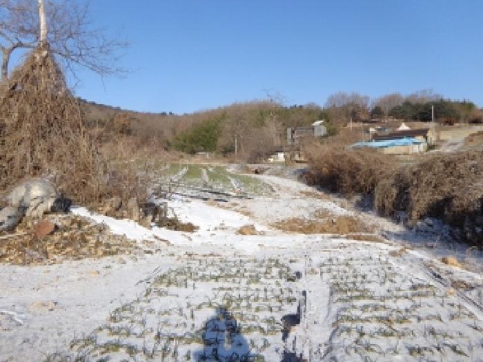 충청남도 서산시 인지면 남정리 517-1 전 경매 사진 33