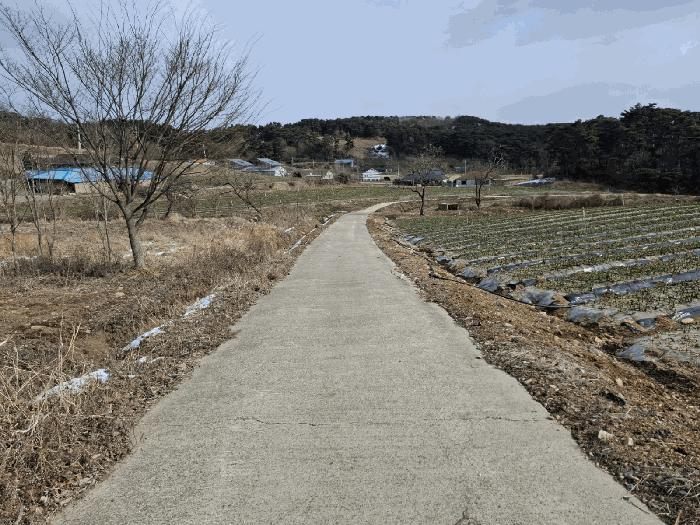 충청남도 서산시 인지면 남정리 517-1 전 경매 사진 4