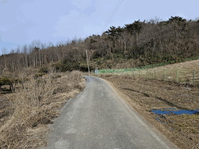 충청남도 서산시 인지면 남정리 517-1 전 경매 사진 5