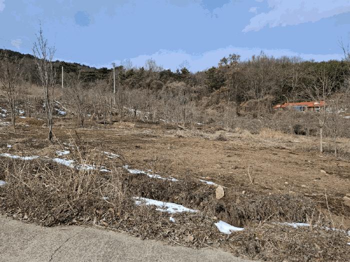 충청남도 서산시 인지면 남정리 517-1 전 경매 사진 7