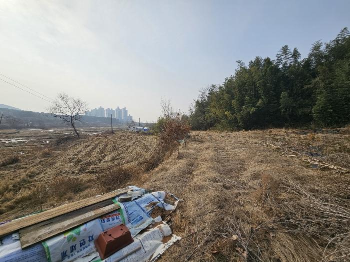 충청남도 서산시 대산읍 대산리 323 전 경매 사진 2