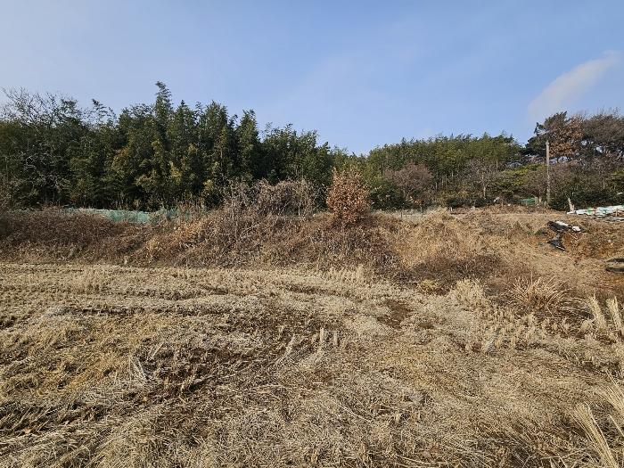 충청남도 서산시 대산읍 대산리 323 전 경매 사진 4