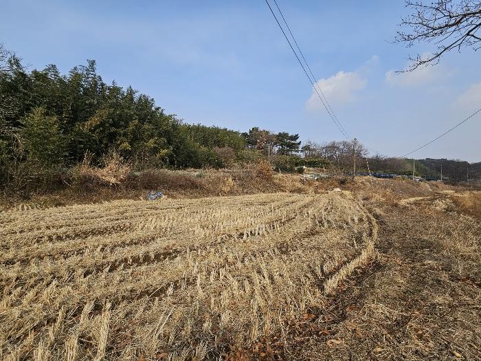 충청남도 서산시 대산읍 대산리 323 전 경매 사진 7