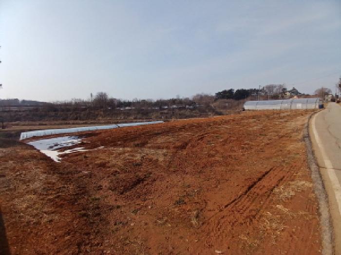 충청남도 당진시 고대면 성산리 823-1 전 경매 사진 5
