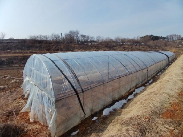 충청남도 당진시 고대면 성산리 823-1 전 경매 사진 6