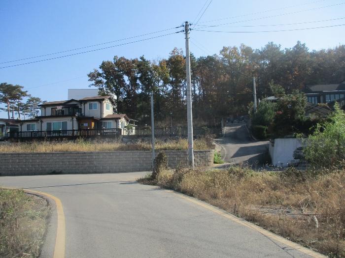 인천광역시 강화군 선원면 연리 420-13 임야 경매 사진 3