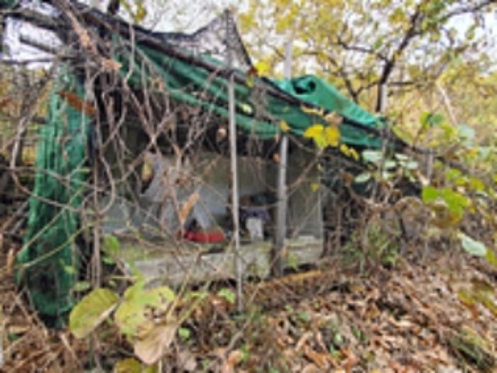 경상남도 김해시 대동면 수안리 151 답 경매 사진 10