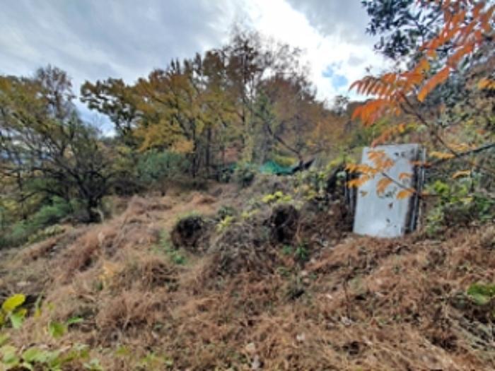 경상남도 김해시 대동면 수안리 151 답 경매 사진 8