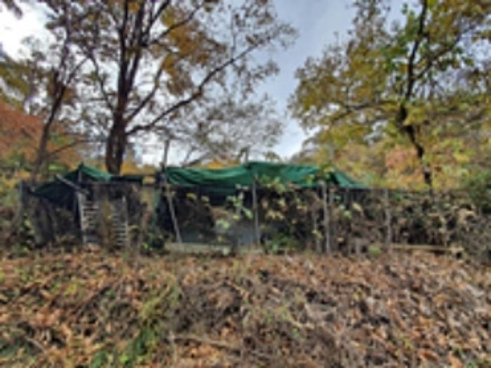 경상남도 김해시 대동면 수안리 151 답 경매 사진 9